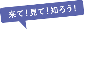 OPEN CAMPUS 開催中！