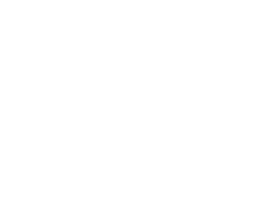 EVNET REPORT