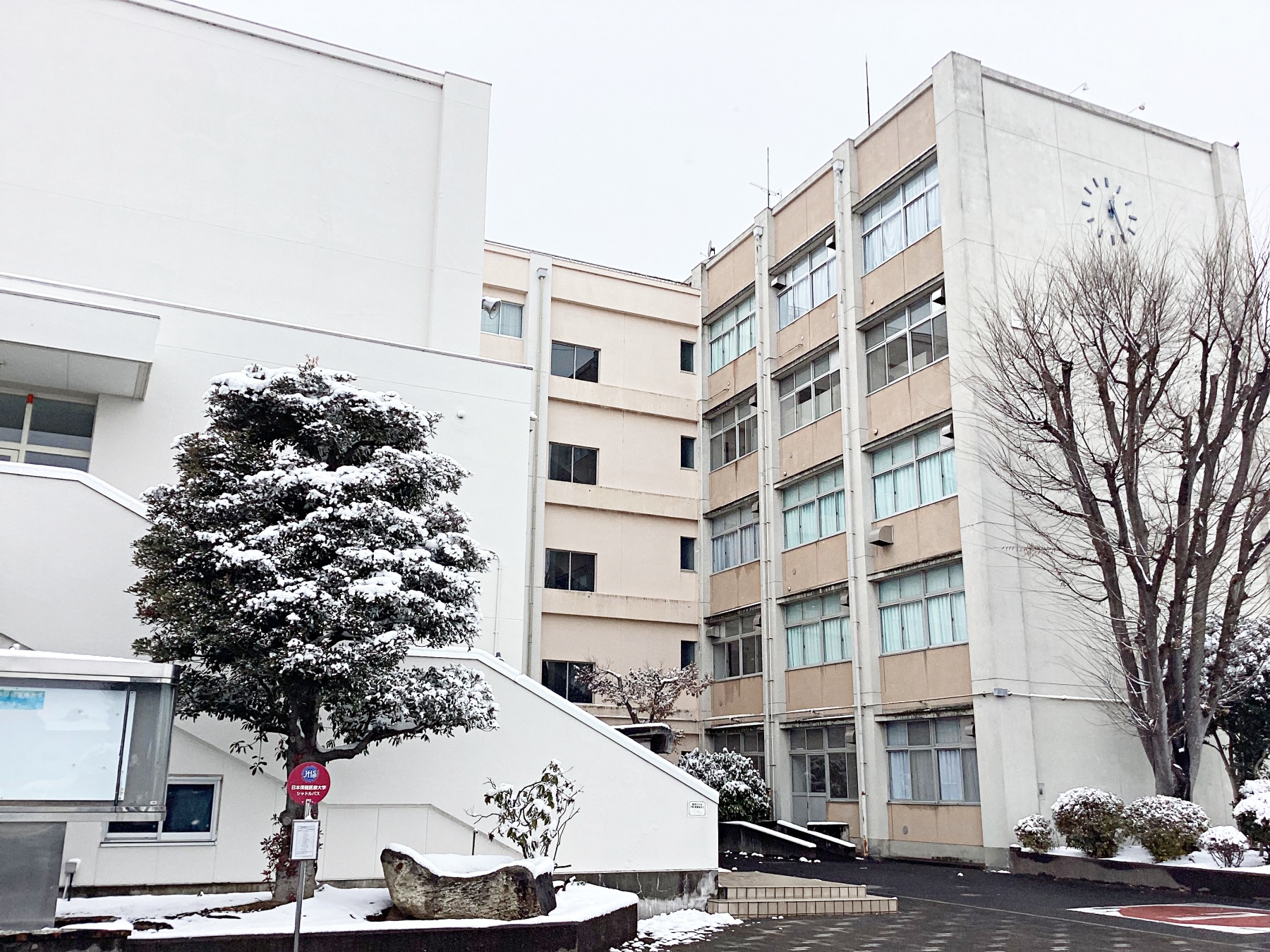 雪が降る中の日本保健医療大学 幸手南キャンパスの校舎